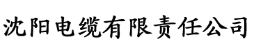 亚洲国产精品无码久久SM电缆厂logo